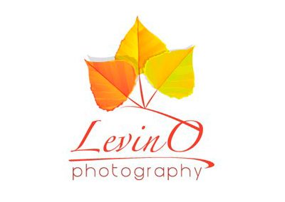 Sample : Lavino Photography Logo